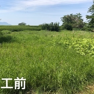 草刈りいたします‼︎