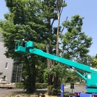 アパートマンションの植生管理 木の剪定などはお任せを（埼玉県所沢市 入間市狭山市新座市川越市〜） - 所沢市