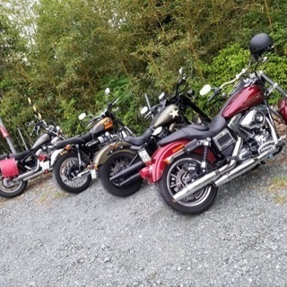 バイク乗り仲間募集！！