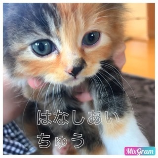 里親さん募集
