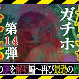 心霊配信を見たい方を募集中