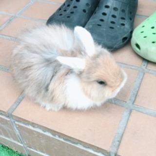 海釣り仲間募集