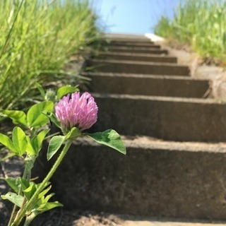 写真好きな人♪集まれ〜📸✨ − 長野県
