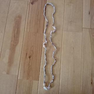 フラ用シェルレイ①