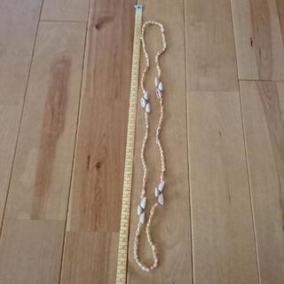 フラ用 シェルレイ②