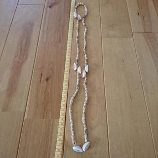 フラ用 シェルレイ④