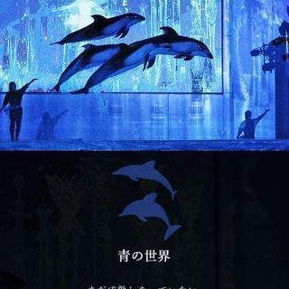 ★6/9（土）シーパラ★