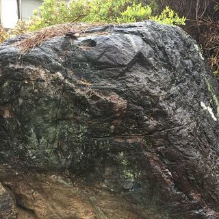 庭石です！の画像