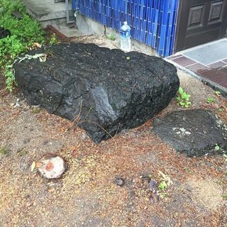 庭石です！の画像
