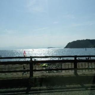 鎌倉ウオーキング仲間！