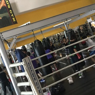 ゴールドジムで本格的ボクシング指導受けてみませんか？の画像
