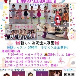 🌷新しいお友達募集中🌷