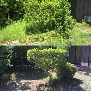 家の修繕、草刈り、お掃除、DIYヘルプ、引っ越し、いるだけサービ...
