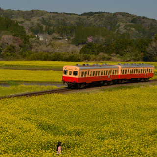 気ままに写真撮影に出掛ける仲間を募集