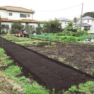 栄養豊富な広めな畑をお貸しします♪ （貸し畑／貸し農園／レンタル...