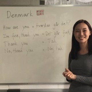 デンマーク語講座　初心者から上級者まで　予約制ネイティブ講師　の画像