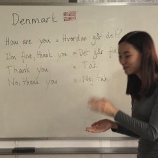 デンマーク語講座　初心者から上級者まで　予約制ネイティブ講師　の画像