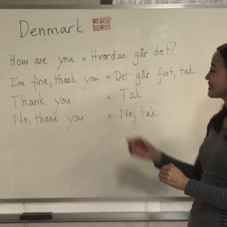 デンマーク語講座　初心者から上級者まで　予約制ネイティブ講師　の画像
