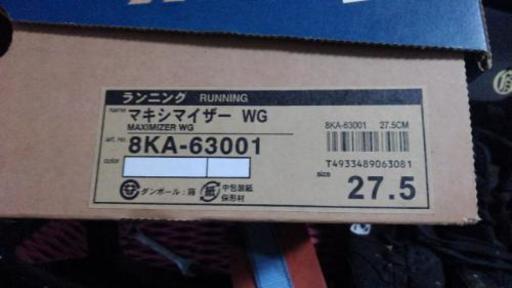 ミズノ　スクールシューズ白無地