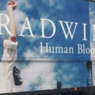 米津玄師、RADWIMPS好きな人いませんかー！ - 友達