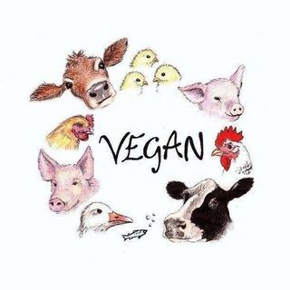 「動物はごはんじゃないデモ行進」の画像