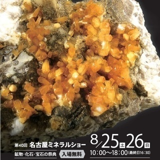 第４０回名古屋ミネラルショーの画像