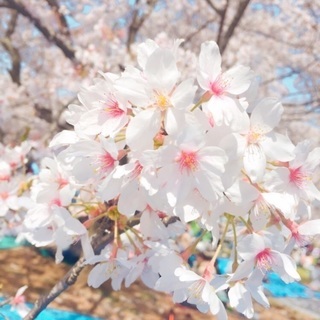 フォトジェニックな写真の撮り合い♪