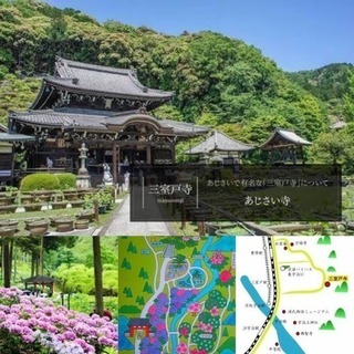 【募集】カメラ&散歩好きさん✨📸