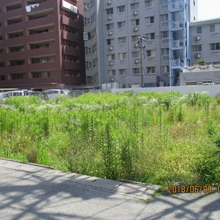 福岡、田んぼ、畑、空き地、草刈、格安、歩行式ハンマーナイフモア