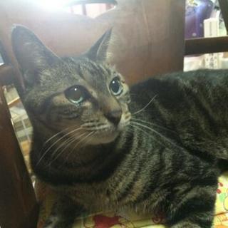 助けてください！ − 東京都