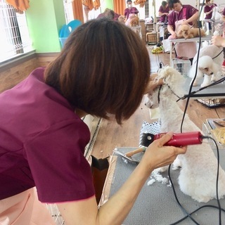 お気軽にお問い合わせください♪日曜フリータイム制トリミング技術習...