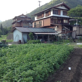 下呂の山奥で野菜などを作りながらのんびり生活してみたい方の画像