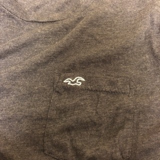 中古ホリスター メンズTシャツの画像