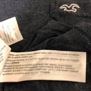 中古ホリスター メンズTシャツの画像