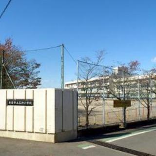 2019年 新戦力大募集