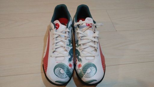 PUMAエヴォスピードグラフィック26cm