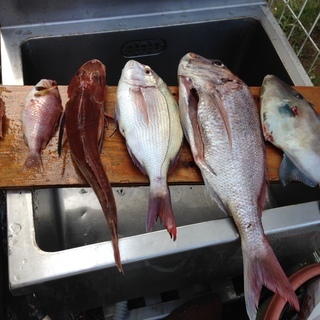 カートップボートでの釣り友、募集