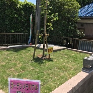 館山市初の樹木葬がオープン！宗教自由 管理費不要 27万〜 - 館山市
