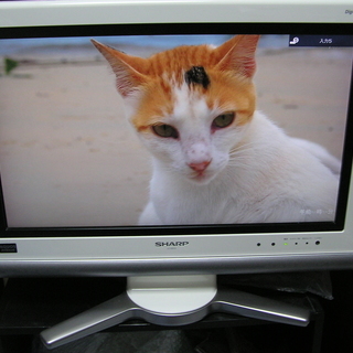 ◇取引終了 シャープ20V型テレビ LC-20D10□ お洒落な...