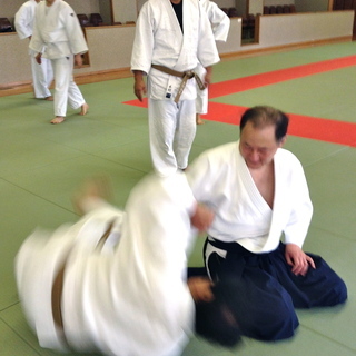 〓〓名古屋 古武術入門〓〓大東流合気柔術 廣濱道場 名古屋支部の画像