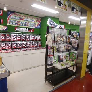 野球好きを仕事に！一緒に神宮球場を盛り上げよう。の画像