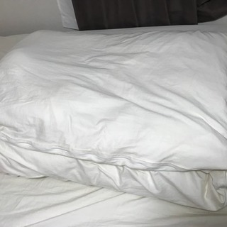 【引取限定】使用1年セミダブルベッド布団つきの画像