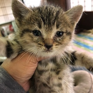 時間がありません。
