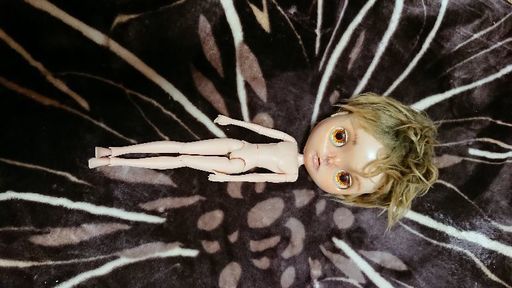 カスタムブライス、自作