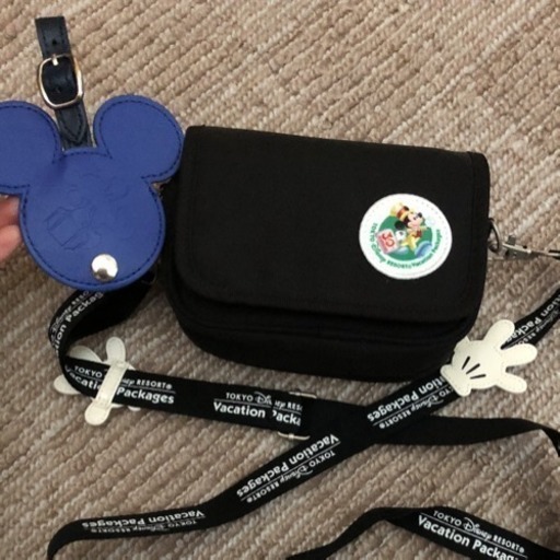 ディズニーランド