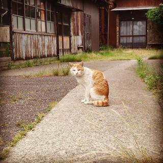 写真撮影が趣味の方