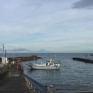 【釣り仲間募集】