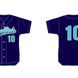 2025年度メンバー募集中～♪　草野球チーム NEW Blue Winds（ニューブルーウィンズ） - 江戸川区