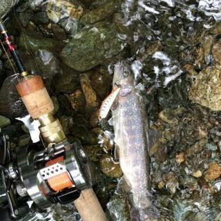 Fishing addiction - スポーツ