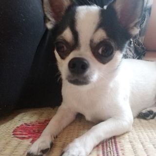 事情があり